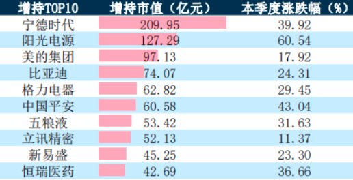 被动权益基金大增45%！公募整体规模升至31.7万亿元-第2张图片-体育新闻_NBA赛事|世界杯|体坛快讯