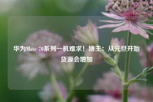 华为Mate 70系列一机难求！博主：从元旦开始货源会增加