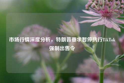 市场行情深度分析，特朗普要求暂停执行TikTok强制出售令