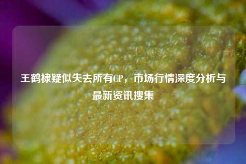 王鹤棣疑似失去所有CP，市场行情深度分析与最新资讯搜集