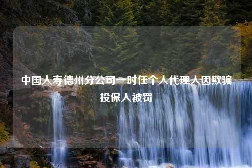 中国人寿德州分公司一时任个人代理人因欺骗投保人被罚