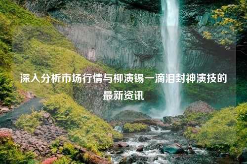 深入分析市场行情与柳演锡一滴泪封神演技的最新资讯