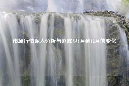 市场行情深入分析与赵露思1月到12月的变化