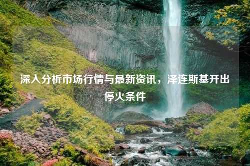 深入分析市场行情与最新资讯，泽连斯基开出停火条件