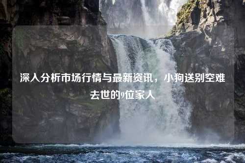 深入分析市场行情与最新资讯，小狗送别空难去世的9位家人