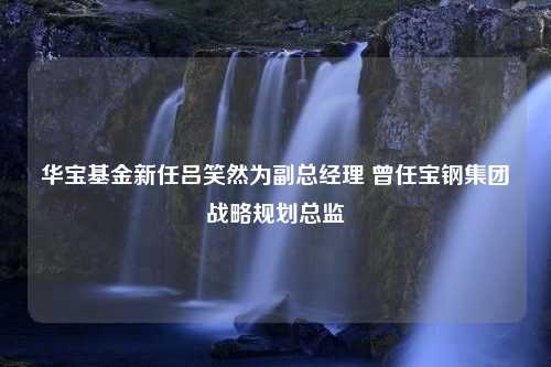 华宝基金新任吕笑然为副总经理 曾任宝钢集团战略规划总监