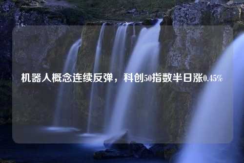 机器人概念连续反弹，科创50指数半日涨0.45%